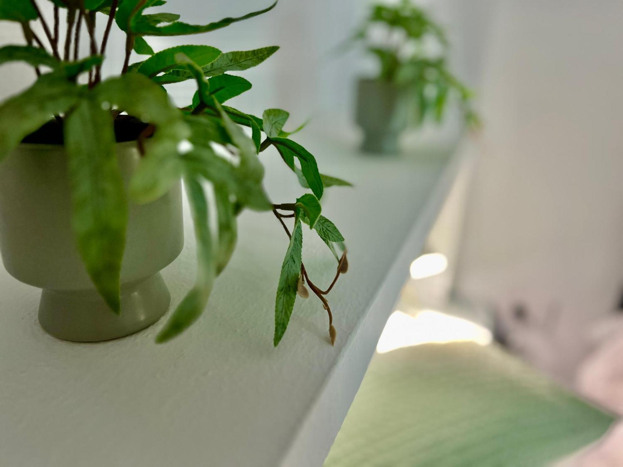 Balnea Baiona Hotel Room photo